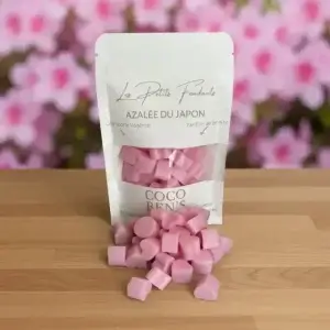 fondant lithothérapie améthyste 40 g (copie)